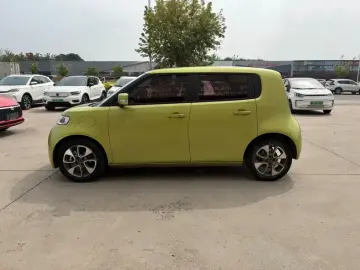 2020 Ora White Cat с пробегом 103 000 км