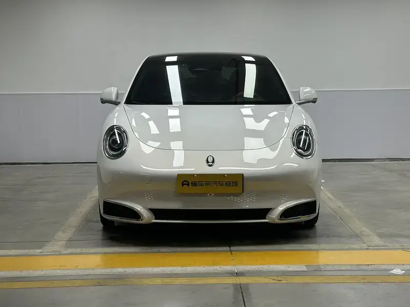 2022 Ora Lightning Cat с пробегом 81 900 км