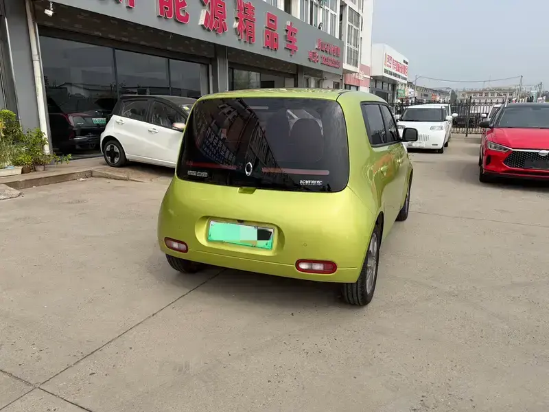 2020 Ora White Cat с пробегом 103 000 км