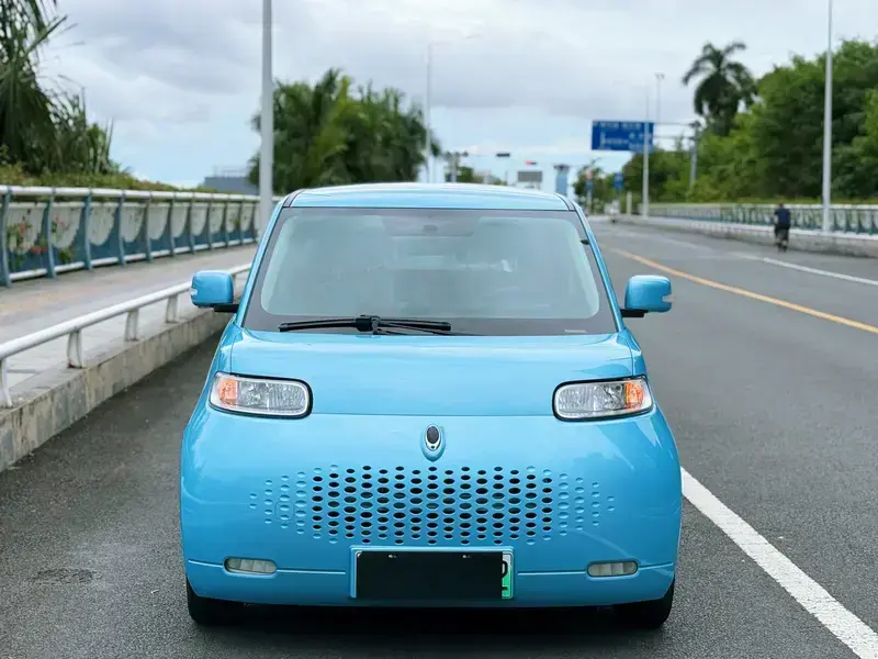 2020 Ora White Cat с пробегом 58 000 км