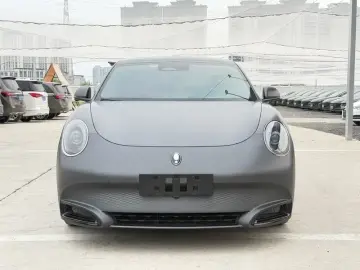 2022 Ora Lightning Cat с пробегом 65 000 км
