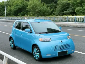 2020 Ora White Cat с пробегом 58 000 км