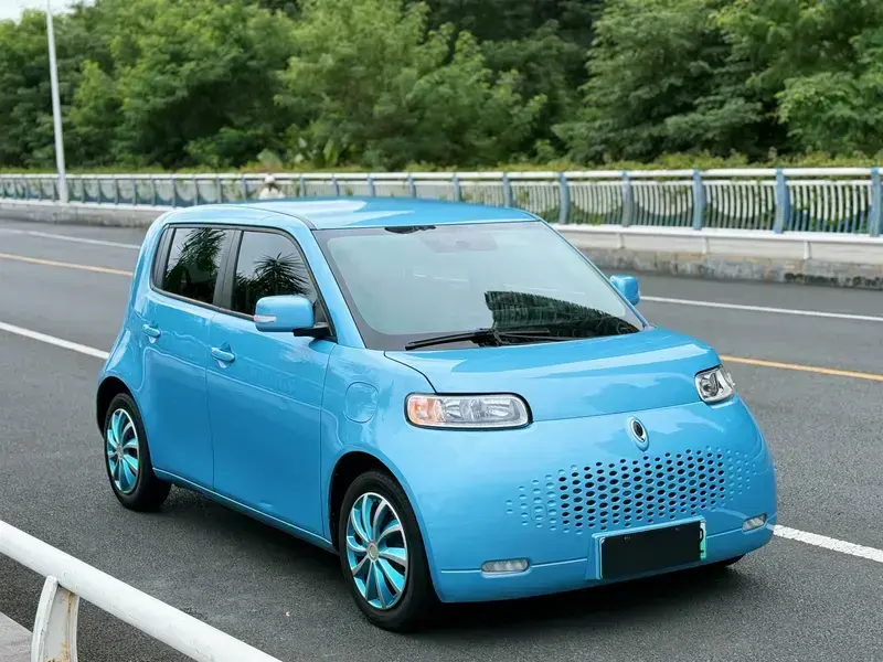 2020 Ora White Cat с пробегом 58 000 км