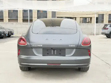 2022 Ora Lightning Cat с пробегом 65 000 км