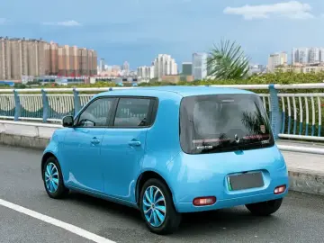 2020 Ora White Cat с пробегом 58 000 км