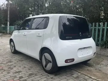 2020 Ora White Cat с пробегом 39 000 км