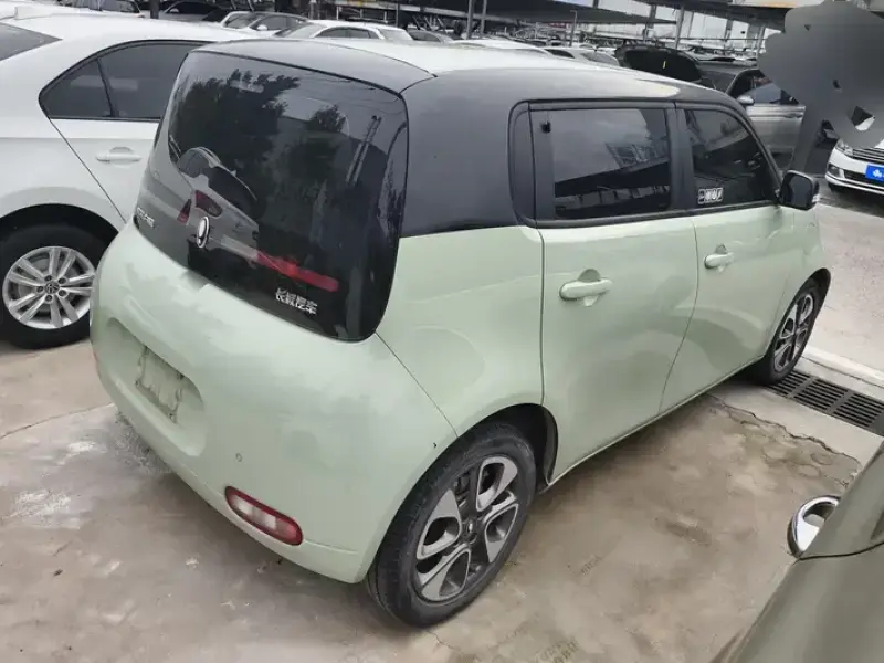 2022 Ora White Cat с пробегом 45 000 км