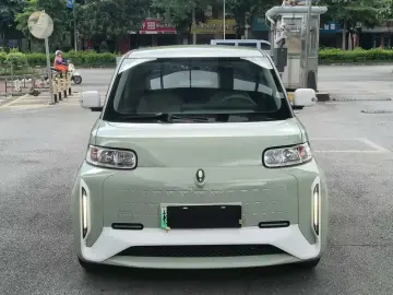 2022 Ora White Cat с пробегом 51 700 км