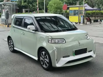 2022 Ora White Cat с пробегом 51 700 км