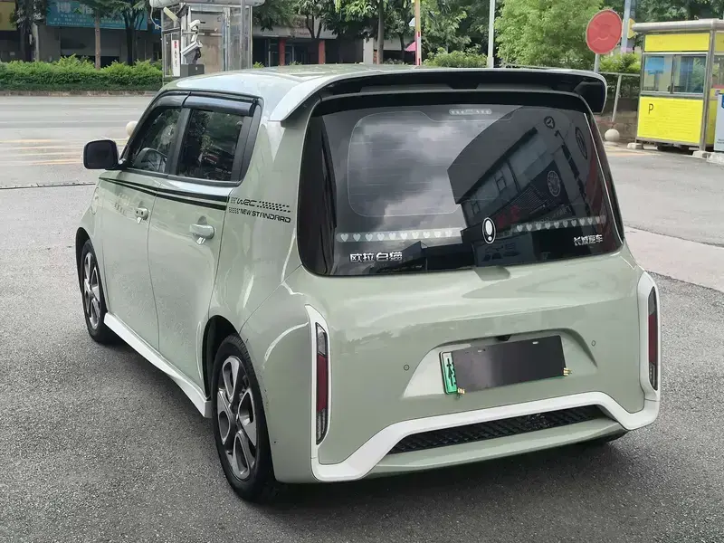 2022 Ora White Cat с пробегом 51 700 км