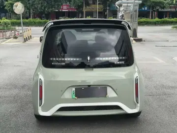 2022 Ora White Cat с пробегом 51 700 км