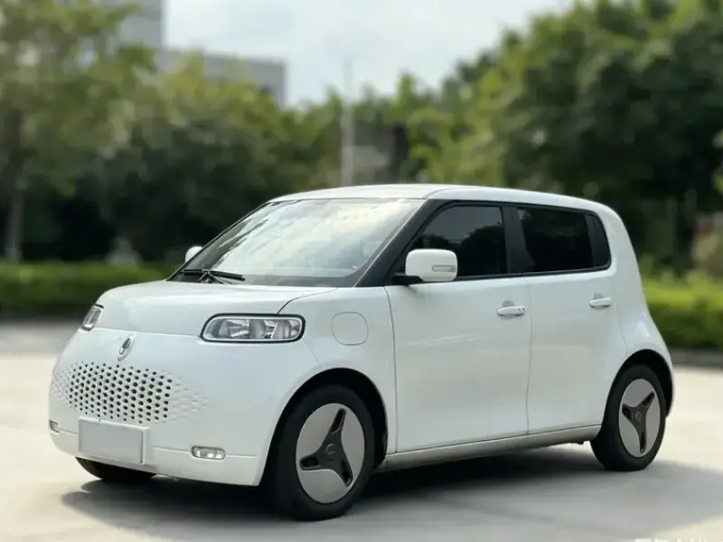 2020 Ora White Cat с пробегом 73 000 км