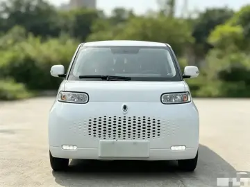 2020 Ora White Cat с пробегом 73 000 км