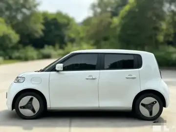 2020 Ora White Cat с пробегом 73 000 км