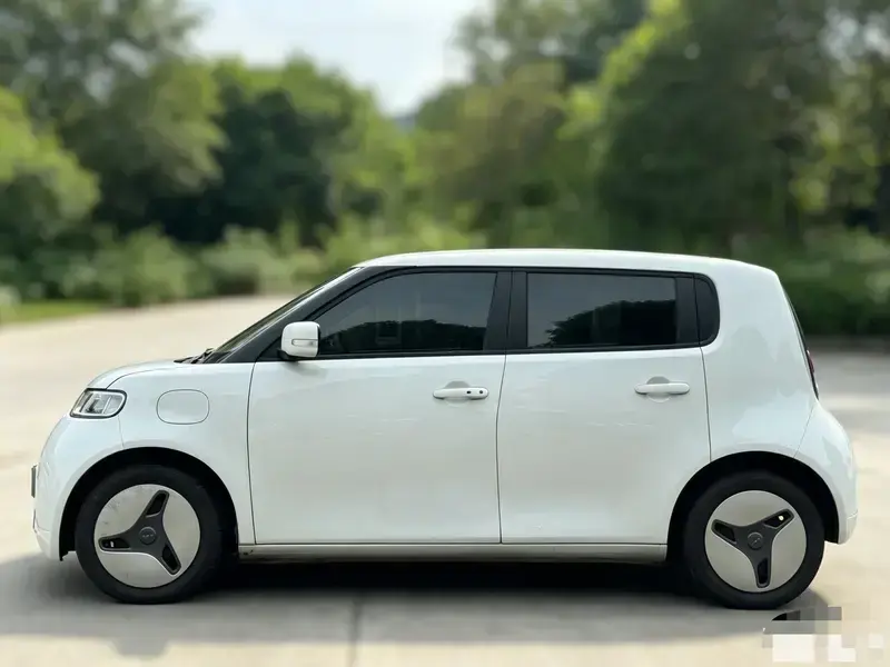 2020 Ora White Cat с пробегом 73 000 км