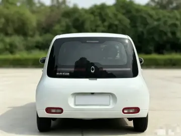 2020 Ora White Cat с пробегом 73 000 км