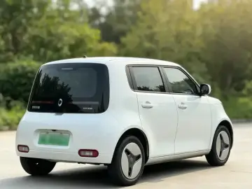 2020 Ora White Cat с пробегом 73 000 км