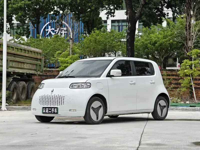 2022 Ora White Cat с пробегом 68 000 км