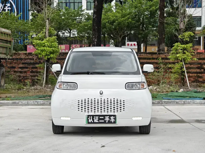 2022 Ora White Cat с пробегом 68 000 км