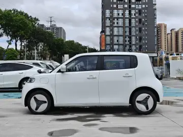 2022 Ora White Cat с пробегом 68 000 км