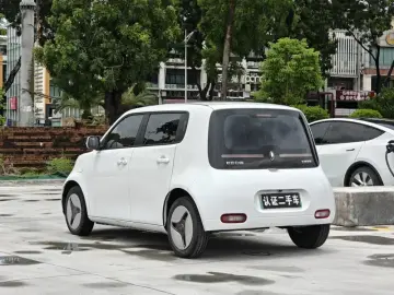 2022 Ora White Cat с пробегом 68 000 км