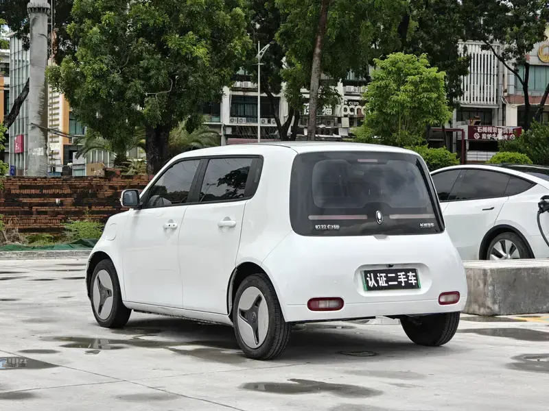 2022 Ora White Cat с пробегом 68 000 км
