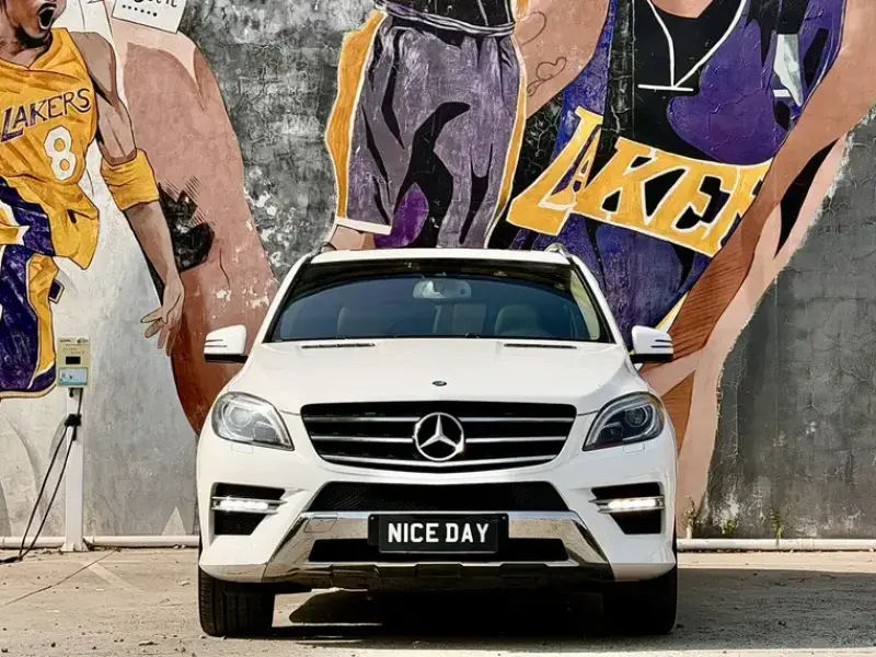 2014 Mercedes-Benz M-Класс с пробегом 110 000 км