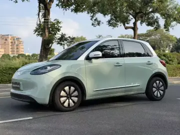 Wuling Binguo