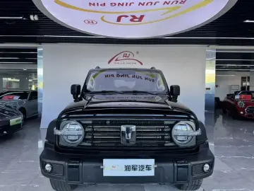 2024 Crossboundary Auto Co-created Tank 300 с пробегом 79 200 км
