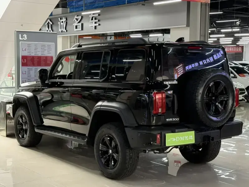 2025 Crossboundary Auto Co-created Tank 300 с пробегом 12 000 км