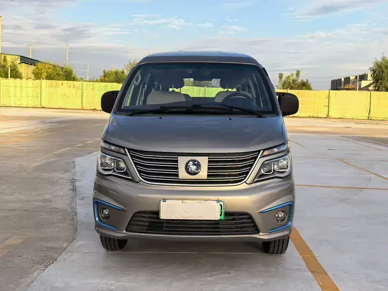 2020 Forthing Lingzhi New Energy с пробегом 48 000 км