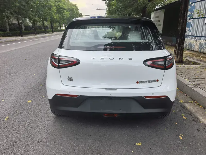 2025 Geely Starry Wish с пробегом 10 400 км