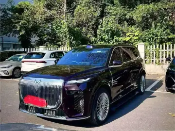 Voyah Taishan