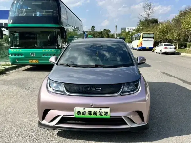 2021 BYD Dolphin с пробегом 52 000 км
