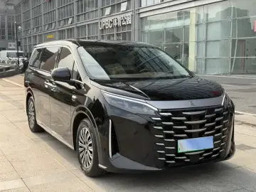 2025 BYD Xia (M9) с пробегом 85 000 км