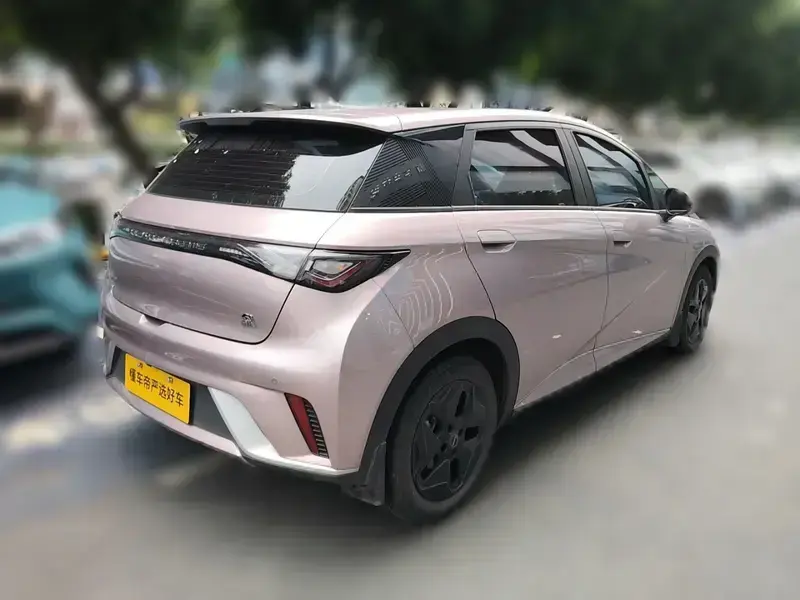 2021 BYD Dolphin с пробегом 118 200 км