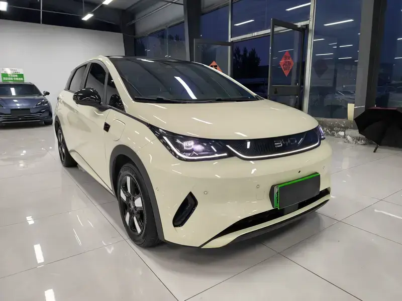 2025 BYD Dolphin с пробегом 10 500 км