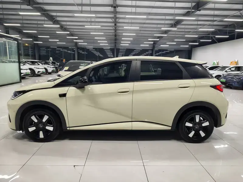 2025 BYD Dolphin с пробегом 10 500 км