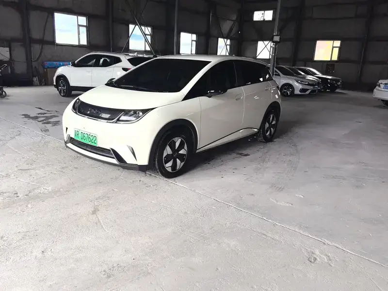 2025 BYD Dolphin с пробегом 11 000 км