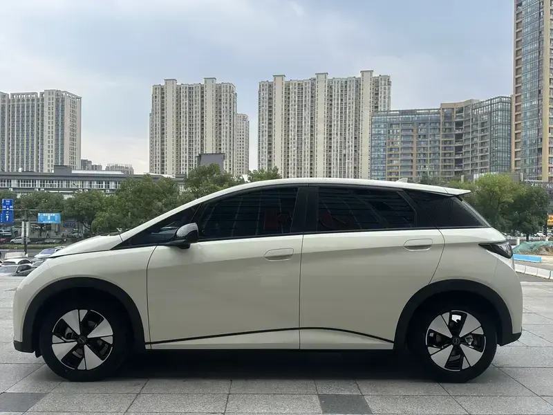 2023 BYD Dolphin с пробегом 24 000 км