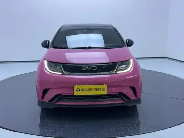 2021 BYD Dolphin с пробегом 55 100 км