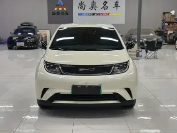 2023 BYD Dolphin с пробегом 29 000 км