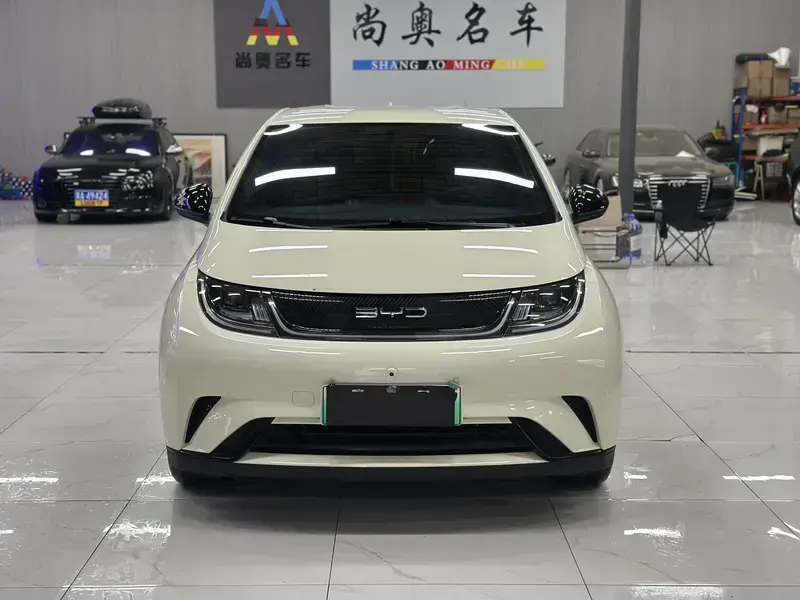 2023 BYD Dolphin с пробегом 29 000 км