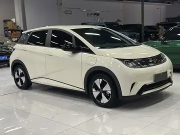 2023 BYD Dolphin с пробегом 29 000 км