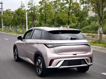 2024 BYD Dolphin с пробегом 6 000 км