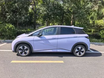 2024 BYD Dolphin с пробегом 36 000 км