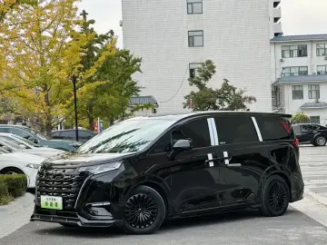 Denza D9