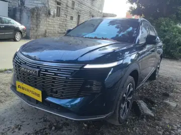 Haval Shenshou