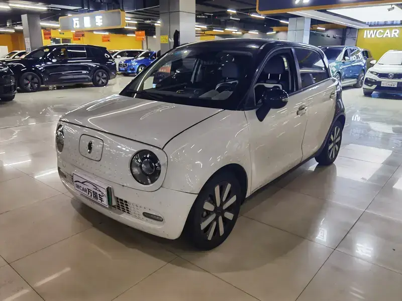 2021 Ora Black Cat с пробегом 89 000 км