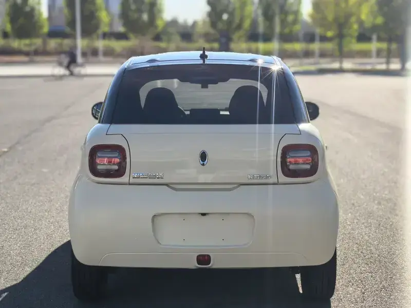 2019 Ora Black Cat с пробегом 65 000 км